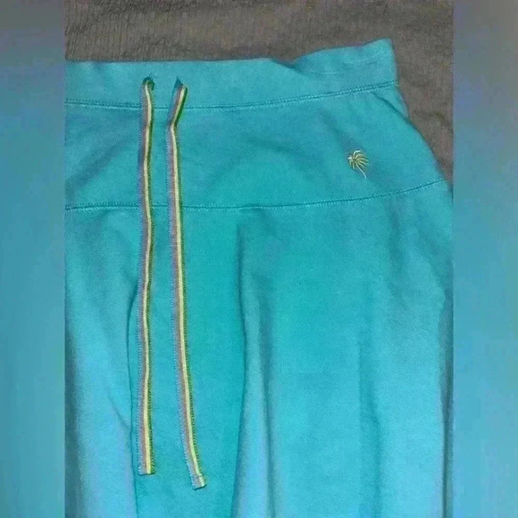 Lillypulitzer skirt - Picture 2 of 4